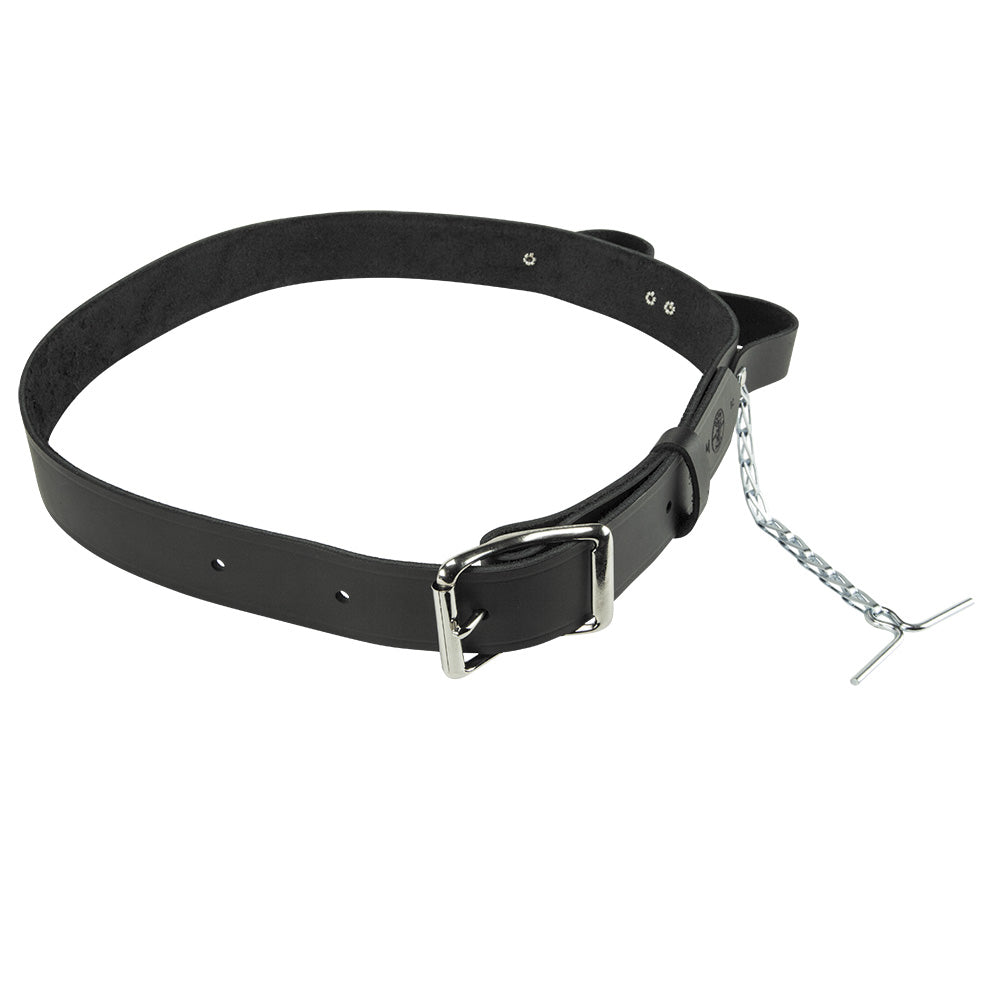 Electrician's Leather Tool Belt, Medium