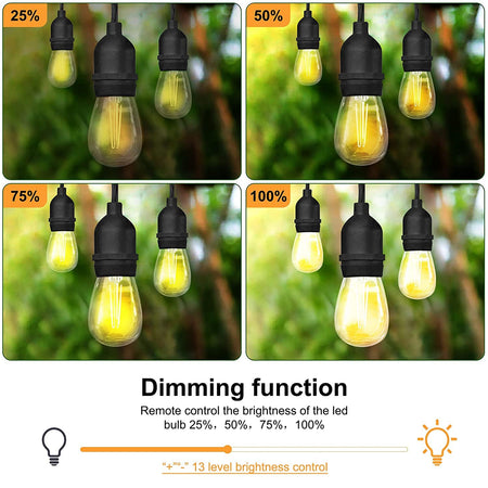 String Light Dimmer Kit, Switches, Luminiz - Maple Electric Supply 