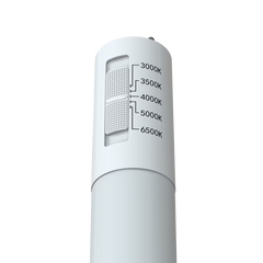 12951 L12WT8/36/BSDG/FCCT  TYPE B - Maple Electric Supply 
