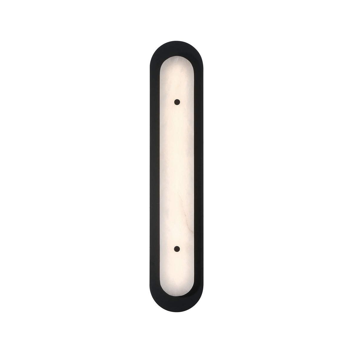Eurofase Tramore 30" LED Outdoor Wall Light, Powder Coat Black with Alabaster, front view