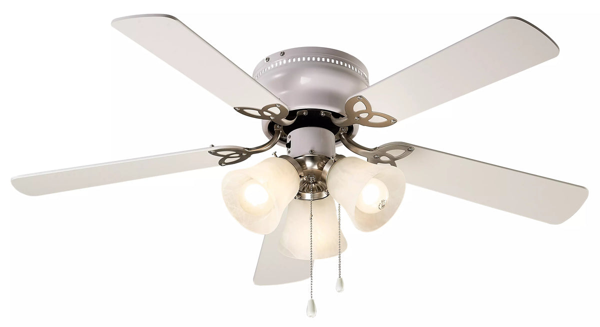 Maria Fan - CF42MAR5WH