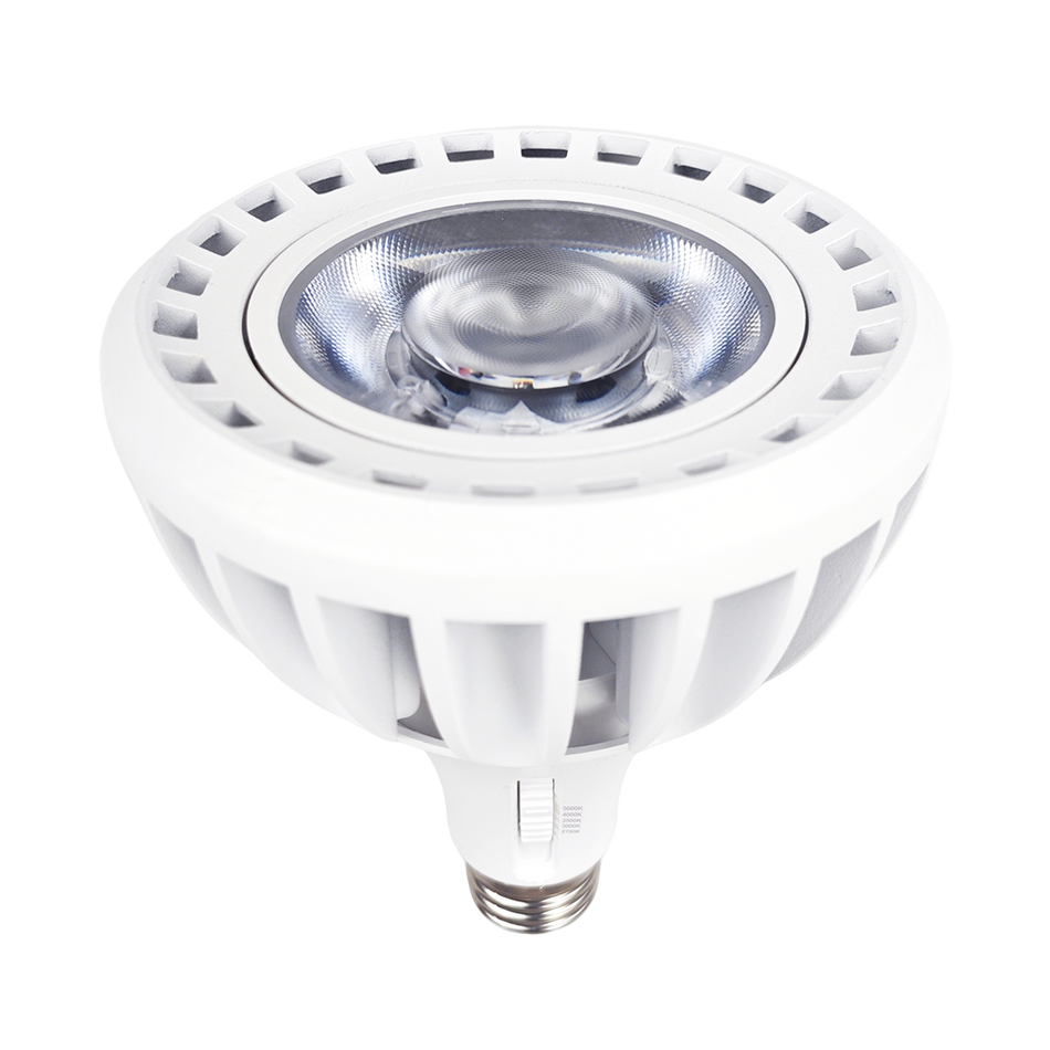 R21113 RENO-PAR38-33W-DV-5CCT-40D