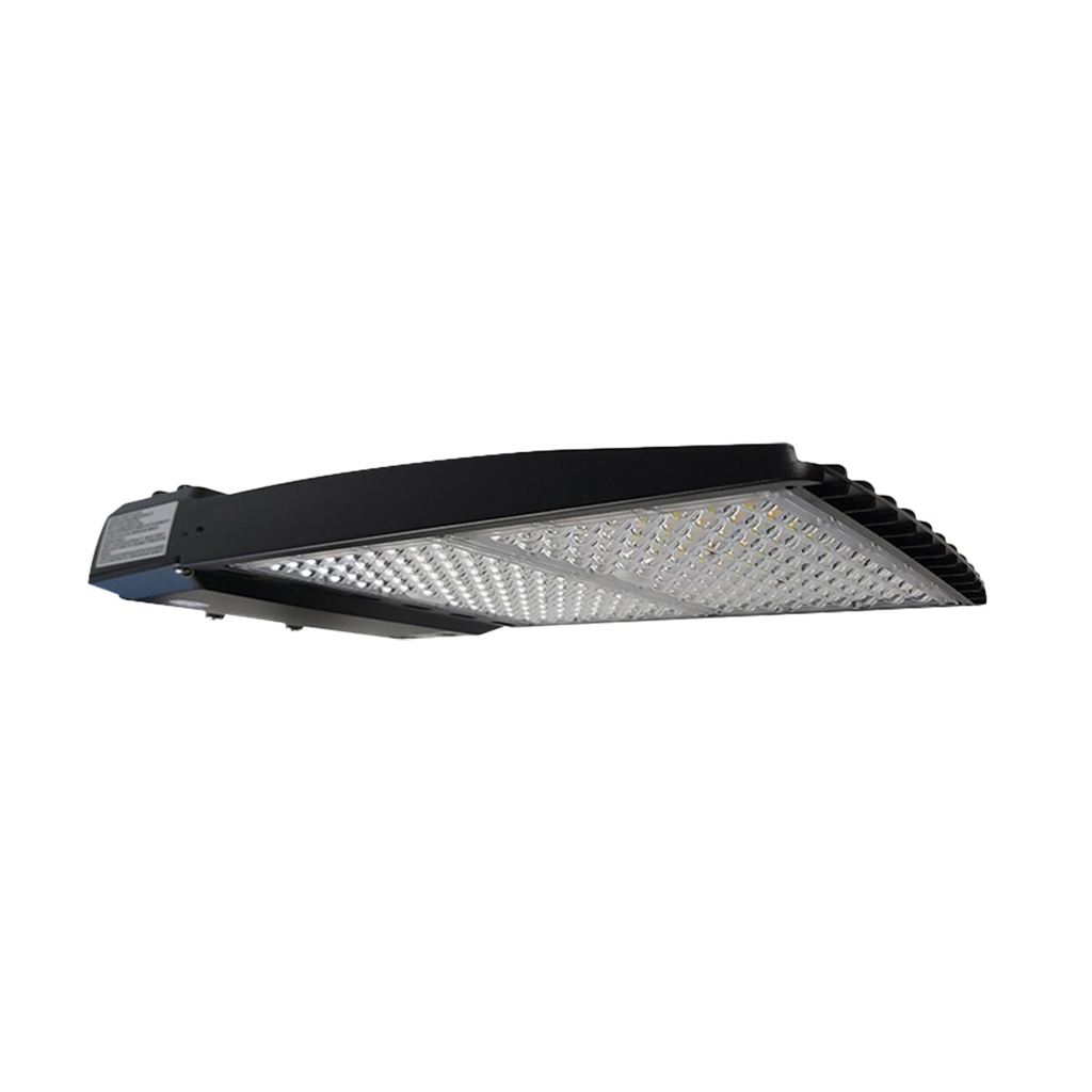 Reno R53034