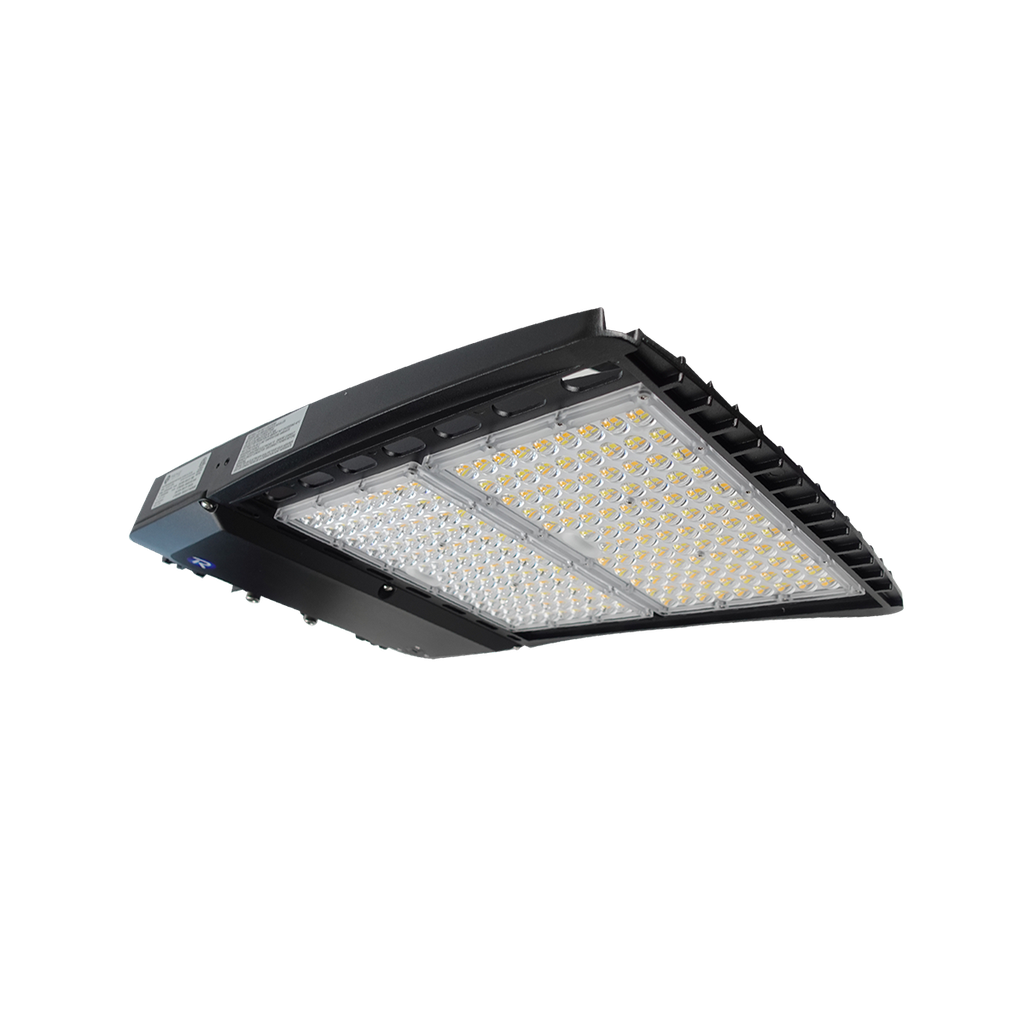 Reno R53035