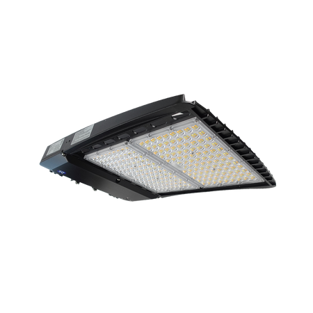 Reno R53035