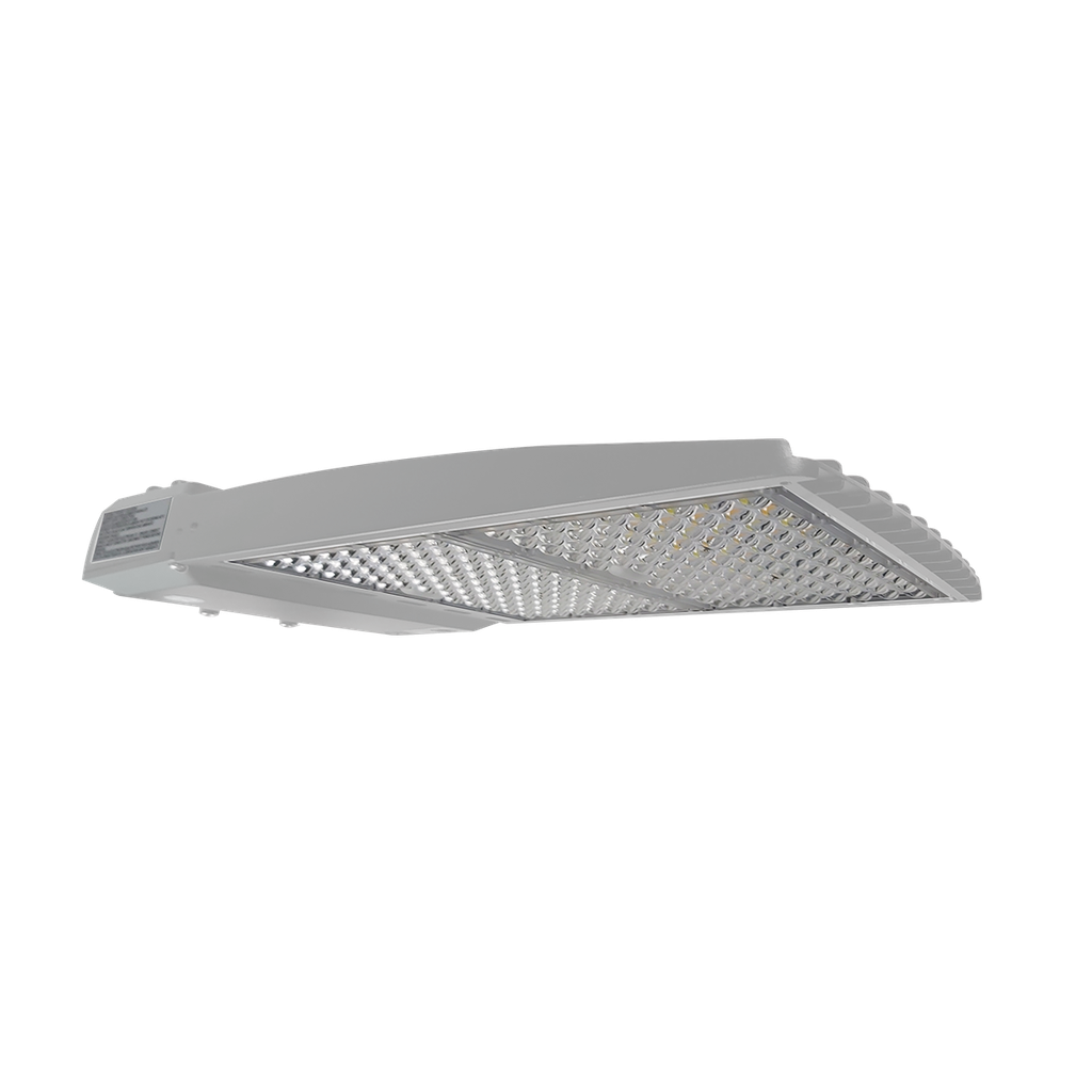 Reno R53044