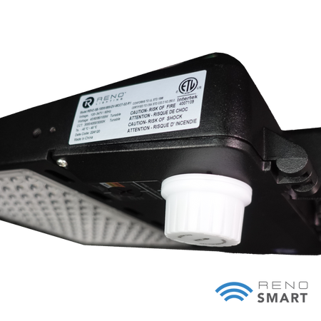 A photo of a , by Reno R53033 - Reno Lighting eCommerce - Maple Electric Supply in Canada