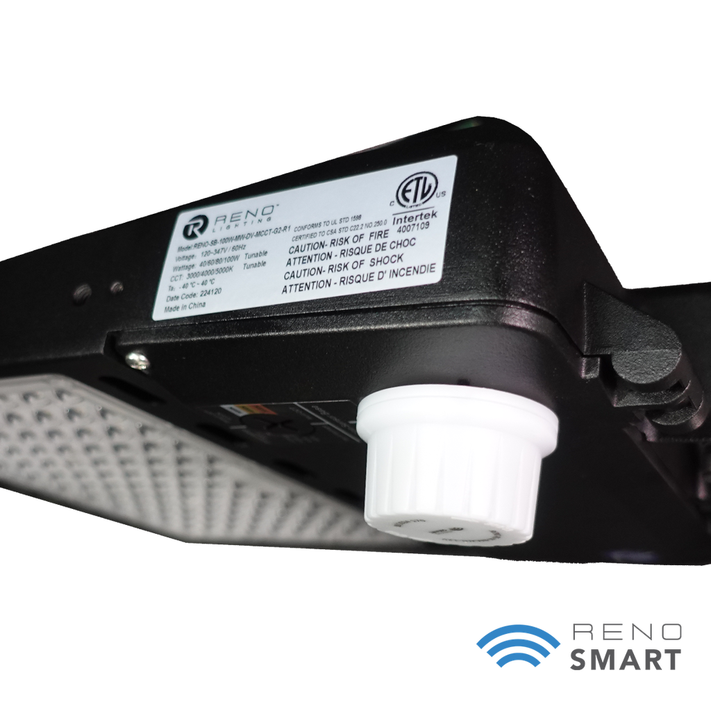 Reno R53034
