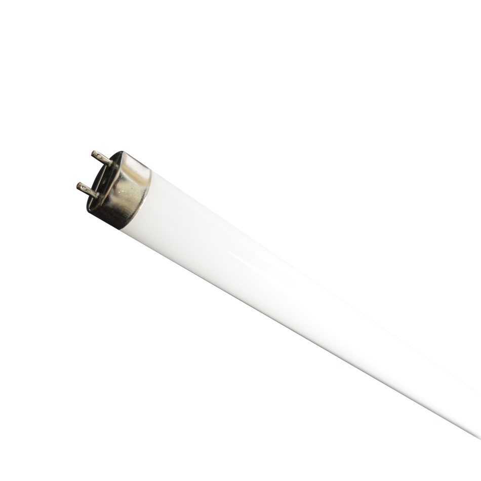 A photo of a , by R41021 - WLL-LEDT8BC13/850/HE(4FT) - Reno Lighting eCommerce - Maple Electric Supply in Canada