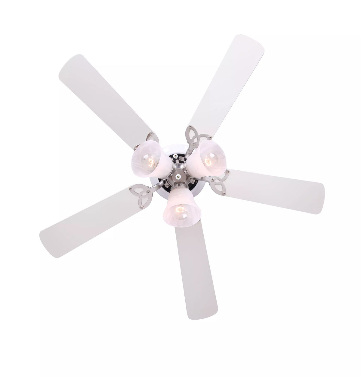 Maria Fan - CF42MAR5WH