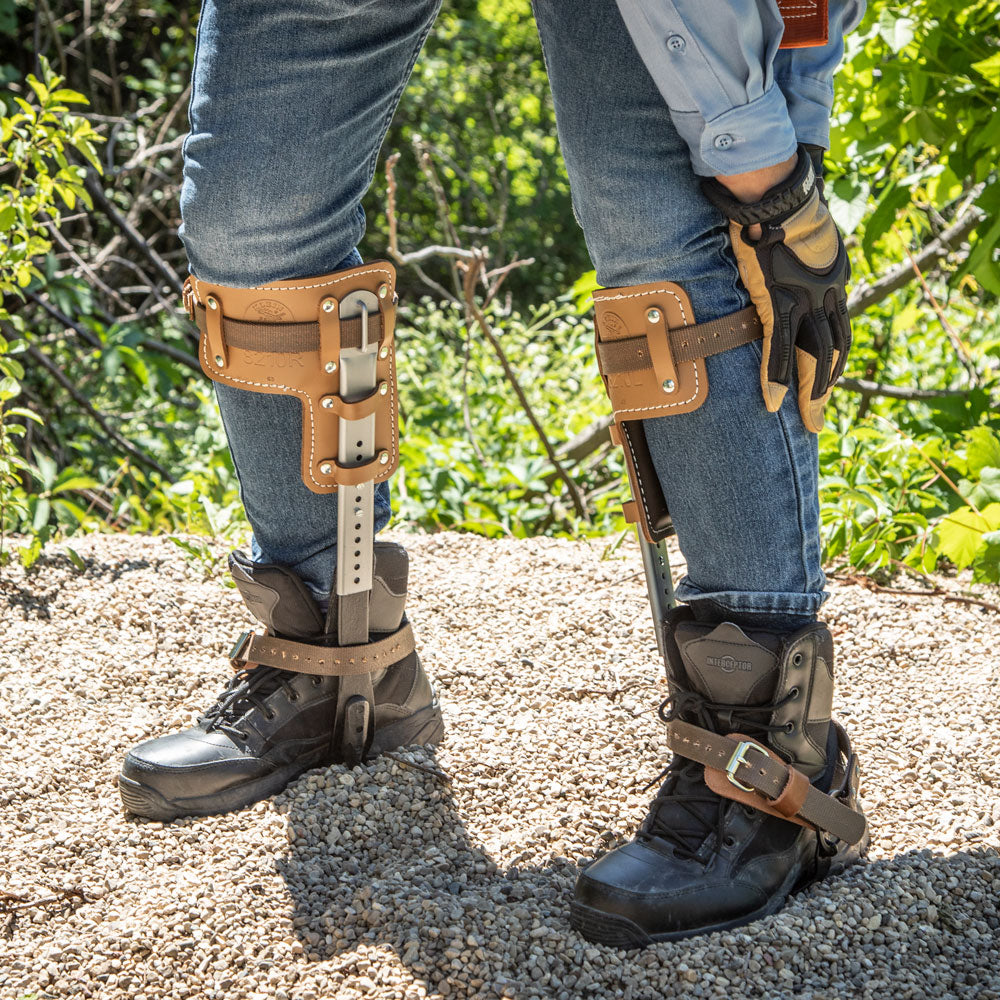 Tree Climber Set 2-3/4-Inch Gaffs, 15 to 19-Inch