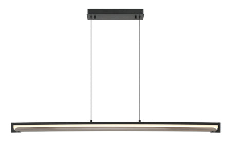 Eurofase Neoness 50" LED Chandelier, Matte Black with Smoked Glass, front view