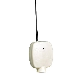 PE650