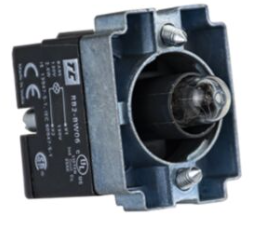 Direct BA 9s Neon Bulb Supplied