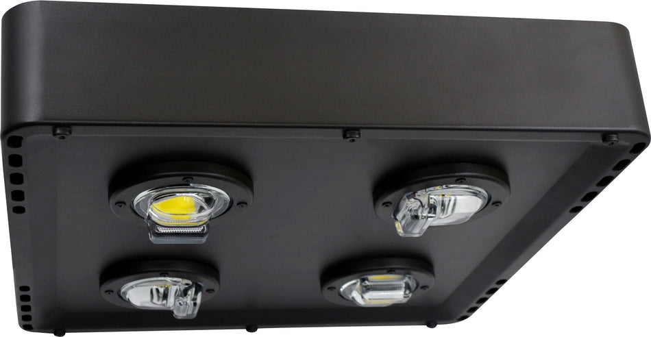 LED AREA SITE LIGHTER 100W-10,000LM, 50K