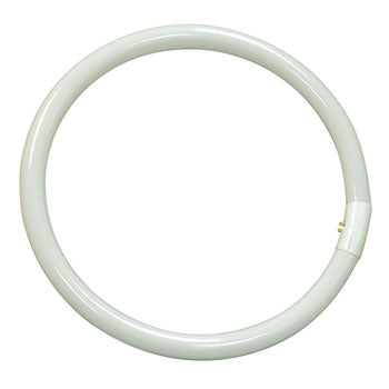 FCL-40CW Fluorescent Circular Tube, 16" Glass, 40W, Non-Dimmable, No Bulb Included, Light Bulbs, Galaxy Lighting - Maple Electric Supply 