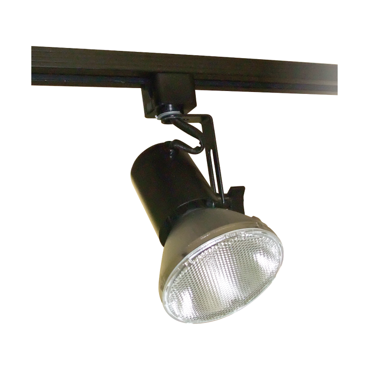 Adjstbl Swivel Inc  250W  Jtrk 1&2 Ct Bk, LIGHTING, STANPRO - Maple Electric Supply 