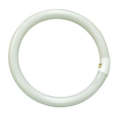 Fluorescent Circular Tube FCL-32CW, 32W, 12" Glass, Non-Dimmable, No Bulb Included, Light Bulbs, Galaxy Lighting - Maple Electric Supply 