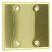 81025 Brass Wallplate, 2-Gang Blank, Satin Finish, Box Mount