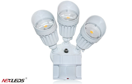LED Security Light