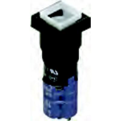 Switches switch push button n.o./N.c. Spdt square, Switches, Techspan - Maple Electric Supply 